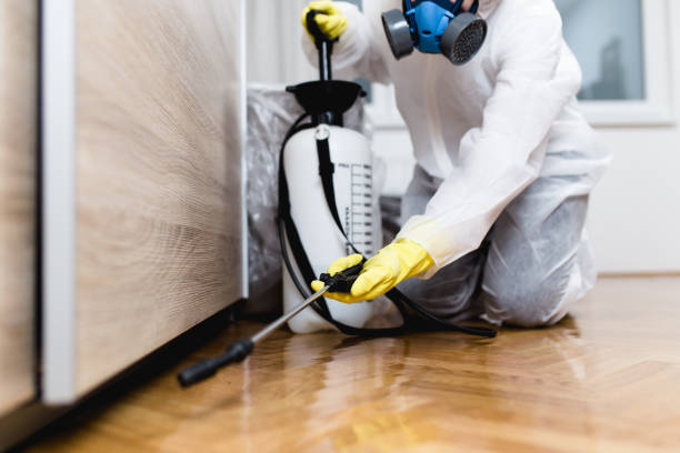 Best Flea Control Services  in Ellisville, MS